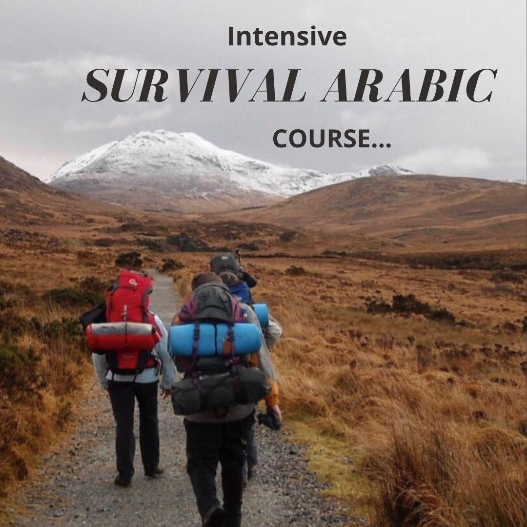Intensive Survival Arabic
